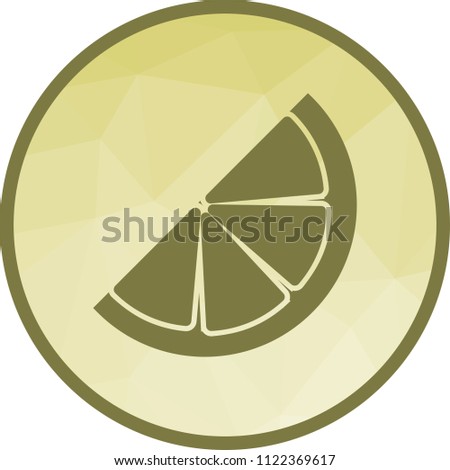 Sliced orange Icon
