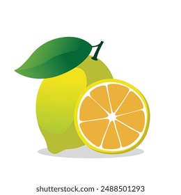 Sliced Orange Segments: Juicy Citrus Fruit Close-Up