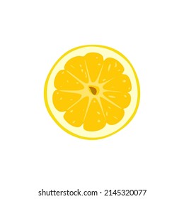 Pieza・・de la ilustración vectorial anaranjada. diseño frutal aislado de fondo blanco