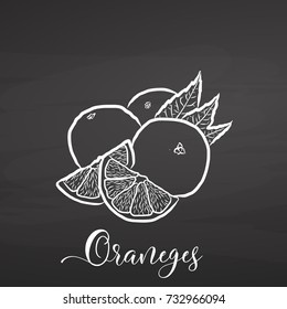 Sliced Oranges. Chalk on chalkboard. Hand drawn healthy food sketch. Black and White Vector Drawing on Blackboard. 