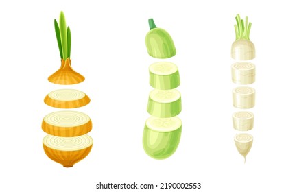 Sliced Parsnip, Onion and Marrow Squash Arranged in Vertical Row as Cut Food Vector Set