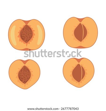 Sliced Peach Vector – Fresh Fruit and Nature Illustration