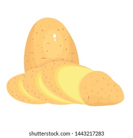sliced peeled potato vector illustration