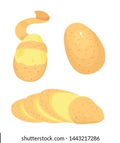 sliced peeled potato vector illustration