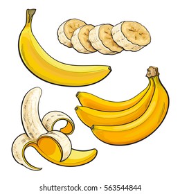 Sliced, peeled, singl and bunch of three ripe banana, sketch style vector illustration isolated on white background. 