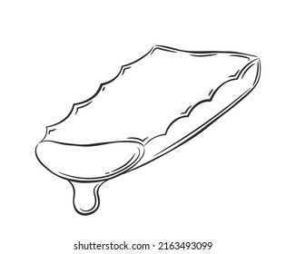 Sliced piece of aloe vera plant. A simple sketch style drawing. Vector illustration.
