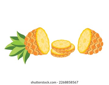 Sliced Pineapple fruit. Vector illustration cartoon flat icon isolated on white background.