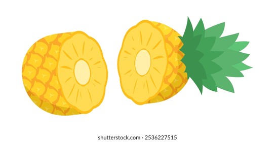 sliced pineapple fruit vector illustration, healthy tropical fruit