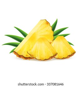 Sliced pineapple isolated on white background. Vector illustration for decorative poster or emblem natural product. Concept for farmers market. Perfect for packaging design of cosmetics and food.