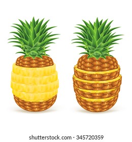 Sliced pineapple isolated on white background. Vector illustration for decorative poster or emblem natural product. Concept for farmers market. Perfect for packaging design of cosmetics and food.