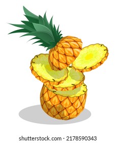 Sliced pineapple, juicy ananas. Harvesting tropical fruits. Cartoon realistic vector isolated on white background