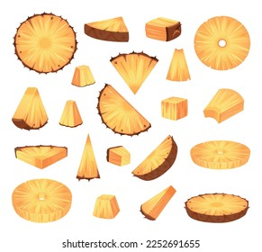 Sliced pineapples. Tropical juicy healthy fruits pieces of ananas exact vector colorful cartoon illustrations