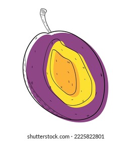 Sliced Plum fruit set. Abstract modern set of plum icons, whole and sliced, For web, print, product design, plum logo. Doodle, line, contour. Vector hand-drawn flat illustration