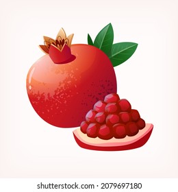 geschnittene Granatapfelfrüchte. Einzige Vektorgrafik von bunten Früchten auf transparentem Hintergrund.
