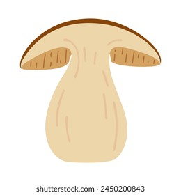 Sliced Porcini forest mushroom. Hand drawn boletus edulis fungus. Porcini fresh edible mushrooms cartoon style decor element. Cep. King bolete on white background. Penny bun Vector illustratio