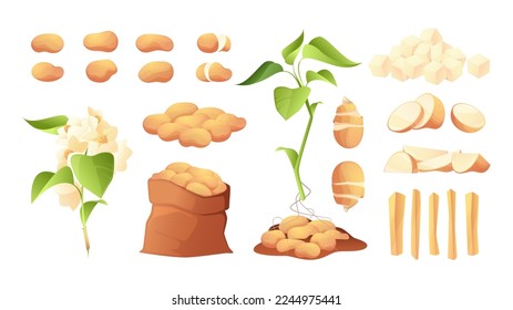 Sliced potato. Cartoon chopped whole peeled rings french fries chips tuberous crop, healthy ripe vegetable products. Vector isolated collection of potato ripe, food vegetable chopped illustration