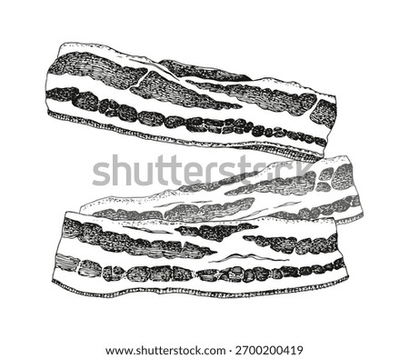 Sliced raw bacon sketched vector