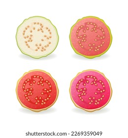 Sliced raw and ripe Guava fruits set vector illustration.