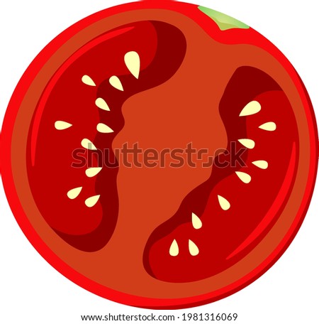 Sliced red tomato in half on white background illustration
