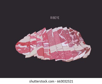 sliced rib eye meat, sketch vector.
