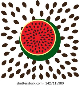 sliced ​​red ripe watermelon with black seeds on a white background vector