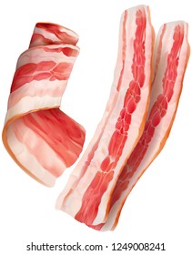 Sliced and rolled bacon on white background. Vector illustration