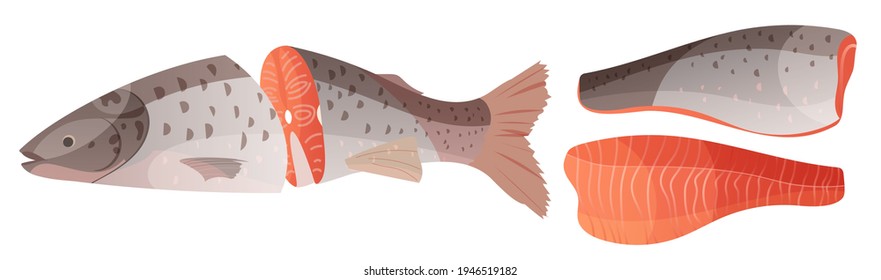 Sliced Salmon Fish. Set Fillet, Red Fish Cut In Half In Cartoon Style. Vector Illustration