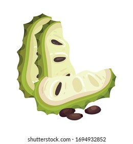Sliced Soursop Fruit or Guanabana with Dark Green Rind Covered with Thick Thorns Vector Illustration