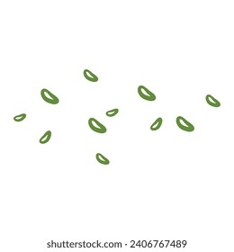 sliced of spring onion illustration