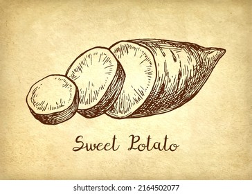 Sliced sweet potato. Ink sketch of yam on old paper background. Hand drawn vector illustration. Vintage style stroke drawing.