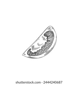Sliced tomato segment with seeds and pulp detail, depicted in fine line art. A classic vector illustration for culinary and educational use.