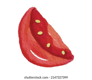 Sliced of Tomato Watercolor Illustration