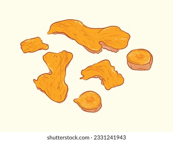 Sliced turmeric root in ingredient illustration