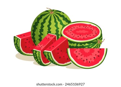 Sandía en rodajas diferentes piezas de sandía jugosa ilustración de frutas de dibujos animados de Vector