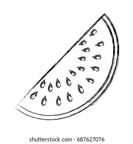 Sliced watermelon fruit