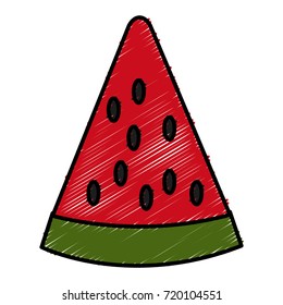Sliced watermelon fruit