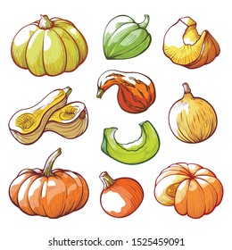 Sliced and whole pumpkins hand drawn vector illustrations set. Ripe gourds drawings collection. Traditional Halloween vegetables isolated on white background. Autumn harvest concept