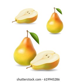 Sliced yellow pears with leaf vector