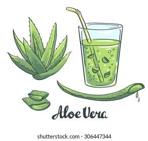 Slices of Aloe Vera in a glass. Healthy cocktail. Vector illustration.