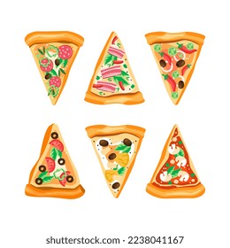 Slices of Appetizing Pizza with Different Ingredients Above View Vector Set