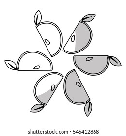 slices of apple fruit icon over white background. vector illustration