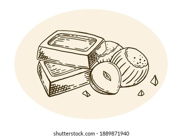 Slices of chocolate with hazelnuts. Hand drawn food sketch. Vintage style. Vector illustration isolated on color background.