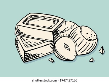 Slices of chocolate with hazelnuts. Hand drawn food sketch. Vintage style. Black and white vector illustration isolated on color background.