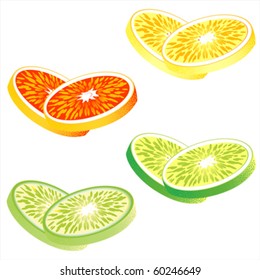 Slices of citrus fruits: Orange, red grapefruit, lemon and lime vector