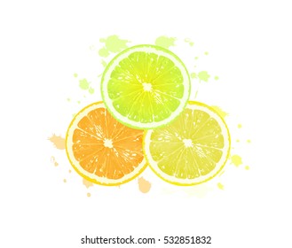 slices citrus on white background
