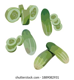 Slices Cucumber Vegetable Illustration Vector Set Taken Several Angles Isolated On White Background Good To Use For Food Magazine, Brochure And Ingredients