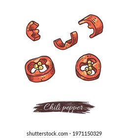 Slices of cut red chili pepper hand drawn engraving colored vector illustration isolated on a white background. Chilli pepper and creative banner with lettering.