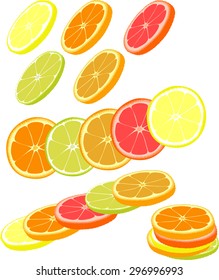 Slices of different citrus fruits. Orange, grapefruit, lemon, lime.