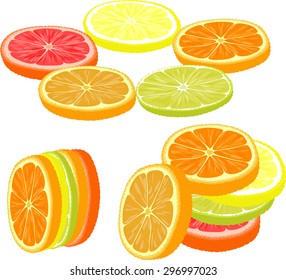 Slices of different citrus fruits. Orange, grapefruit, lemon, lime.