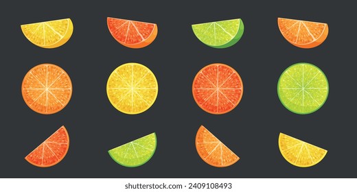 Slices of different citruses: lime, lemon, grapefruit, orange isolated on grey background. Vector illustration for decorative poster, natural product emblem, farmers market